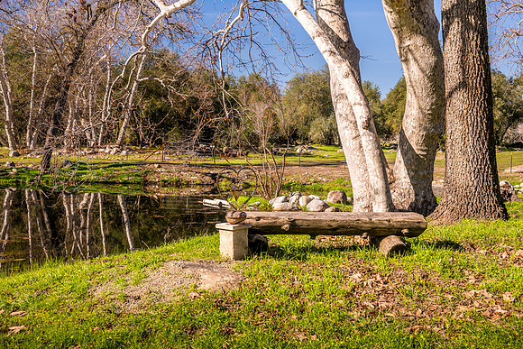 Heart Bench