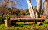 Heart Bench 3
