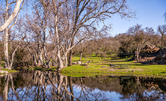Pond North 1