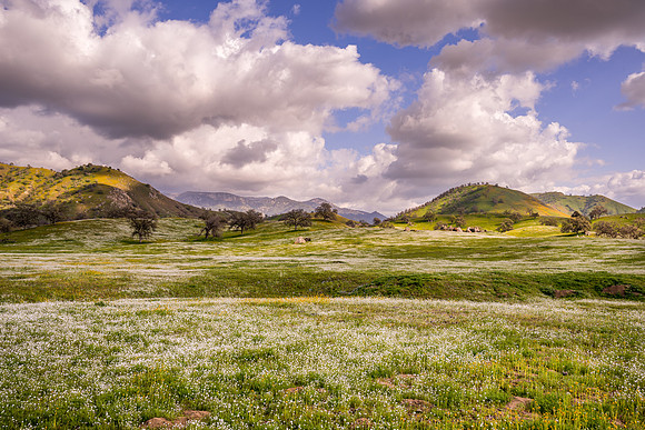 Yokohl Valley 5