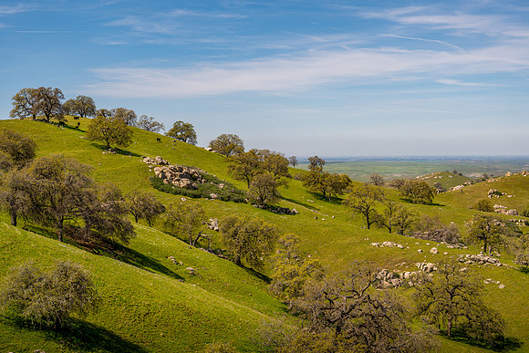 Spring View