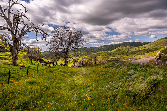 Yokohl Valley Spring 2025 3