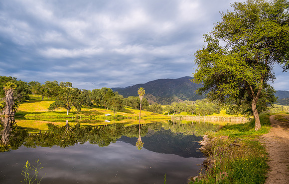 Lake East 3