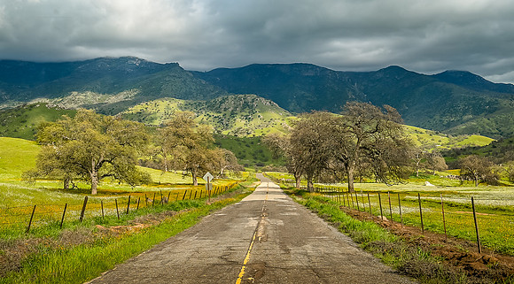 Yokohl Valley Spring 2025 5