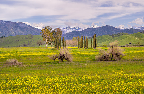 Sierra from Northeast of Lake Success