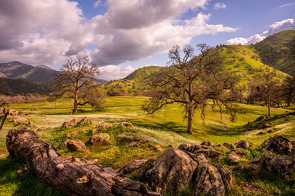 Yokohl Valley 7