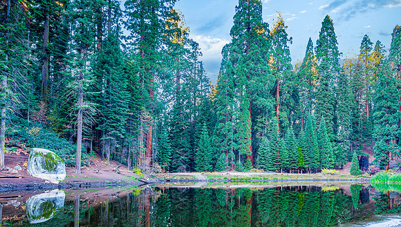 Balch Park Pond