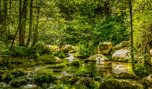 Tule River Tranquility-2
