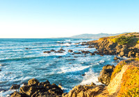 Cambria Rocky Shore