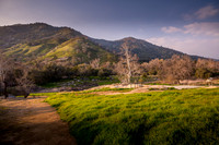 Backyard West 1