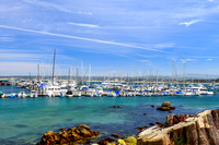 Monterey Harbor II