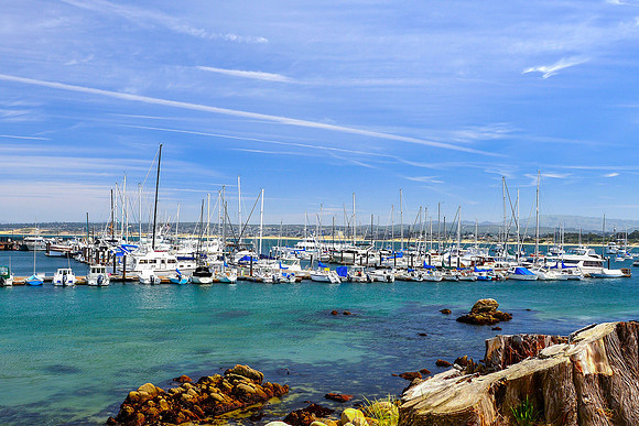Monterey Harbor II