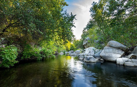Evening Downstream l