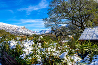 Snowy Eastern View