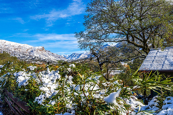 Snowy Eastern View