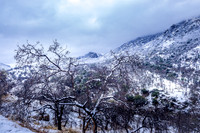 Tule River Gorge Snow