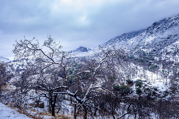 Tule River Gorge Snow