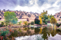 Springville Pond III