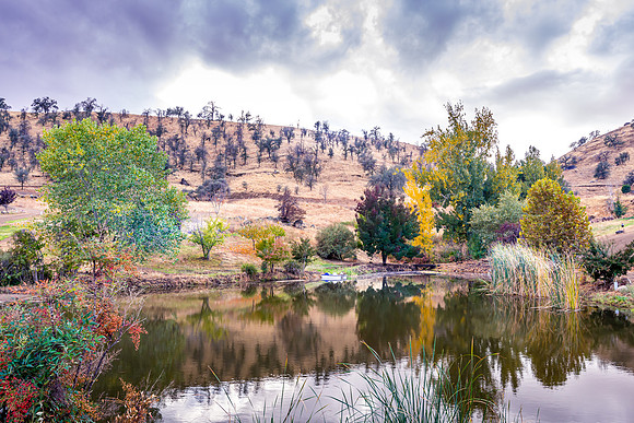 Springville Pond III