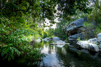 Evening Downstream ll