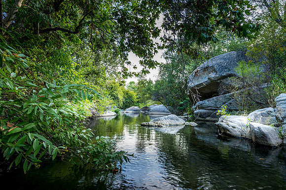 Evening Downstream ll