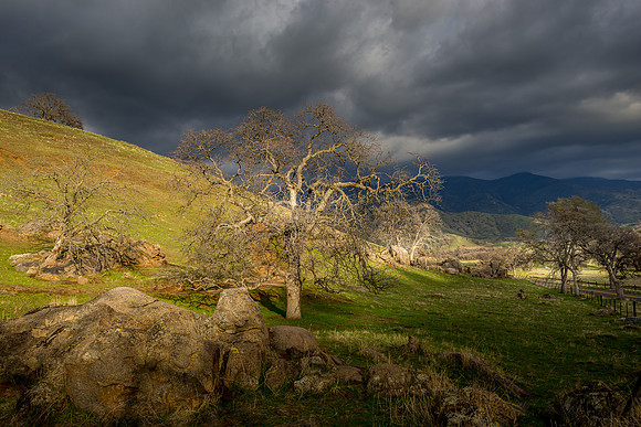 Hope in the Storm