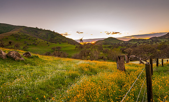 Yokohl Valley Spring II
