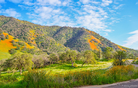 The Hills are Alive
