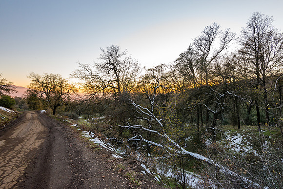 Trimmed with Snow