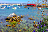 Monterey Harbor III