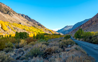 Bishop Creek Canyon Fall Colors-Light and Shadow