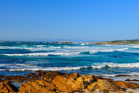 17 Mile Drive II