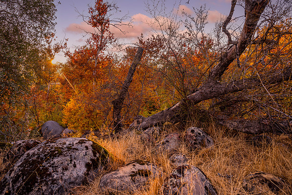 Fall West 7