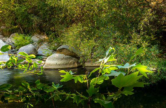Whale Rock framed