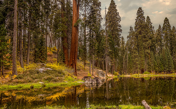 Balch Park Lower Pond 1