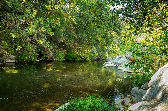 Downstream IV