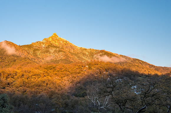 Golden Hour