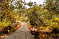 Fall Bridge II