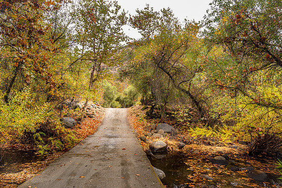 Fall Bridge II