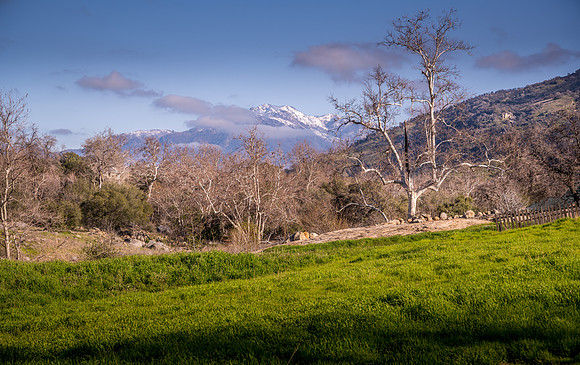 Backyard North