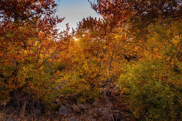 Fall West 4