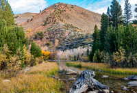 North Lake Creek