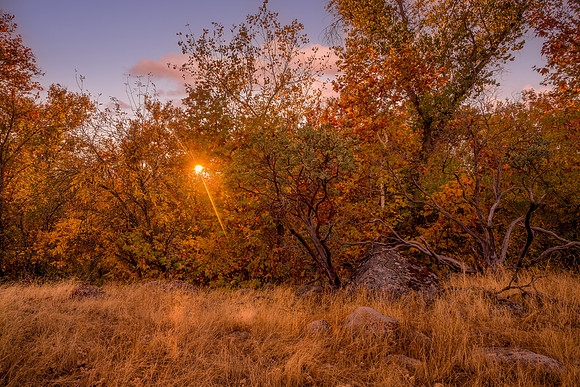 Fall West 3