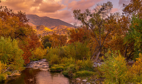 Tule River Globe Bridge