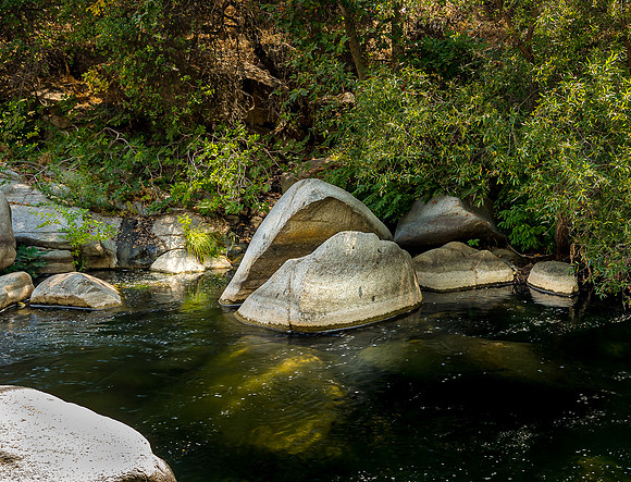 Whale Rock_