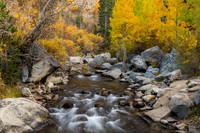 Bishop Creek in Fall