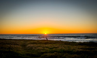 Sunset Blue Heron