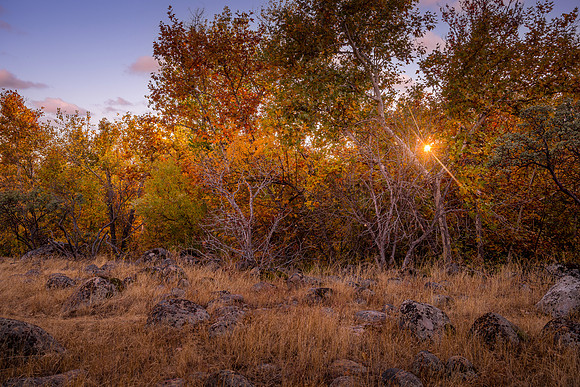 Fall West 2