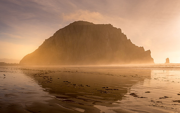Morro Rock Gold