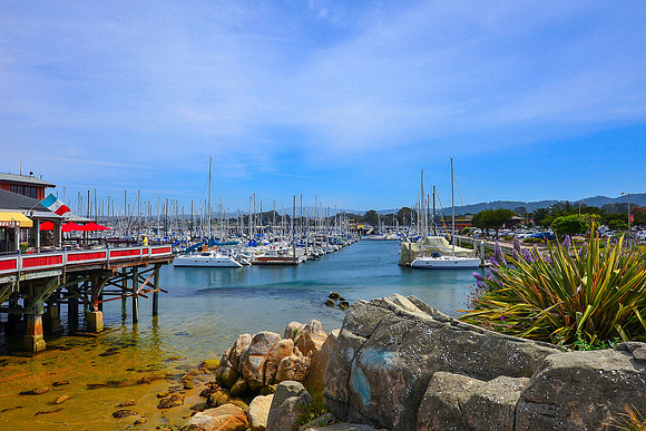 Monterey Harbor IV